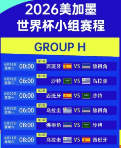 开云与 FIFA 合作数字球迷社区
